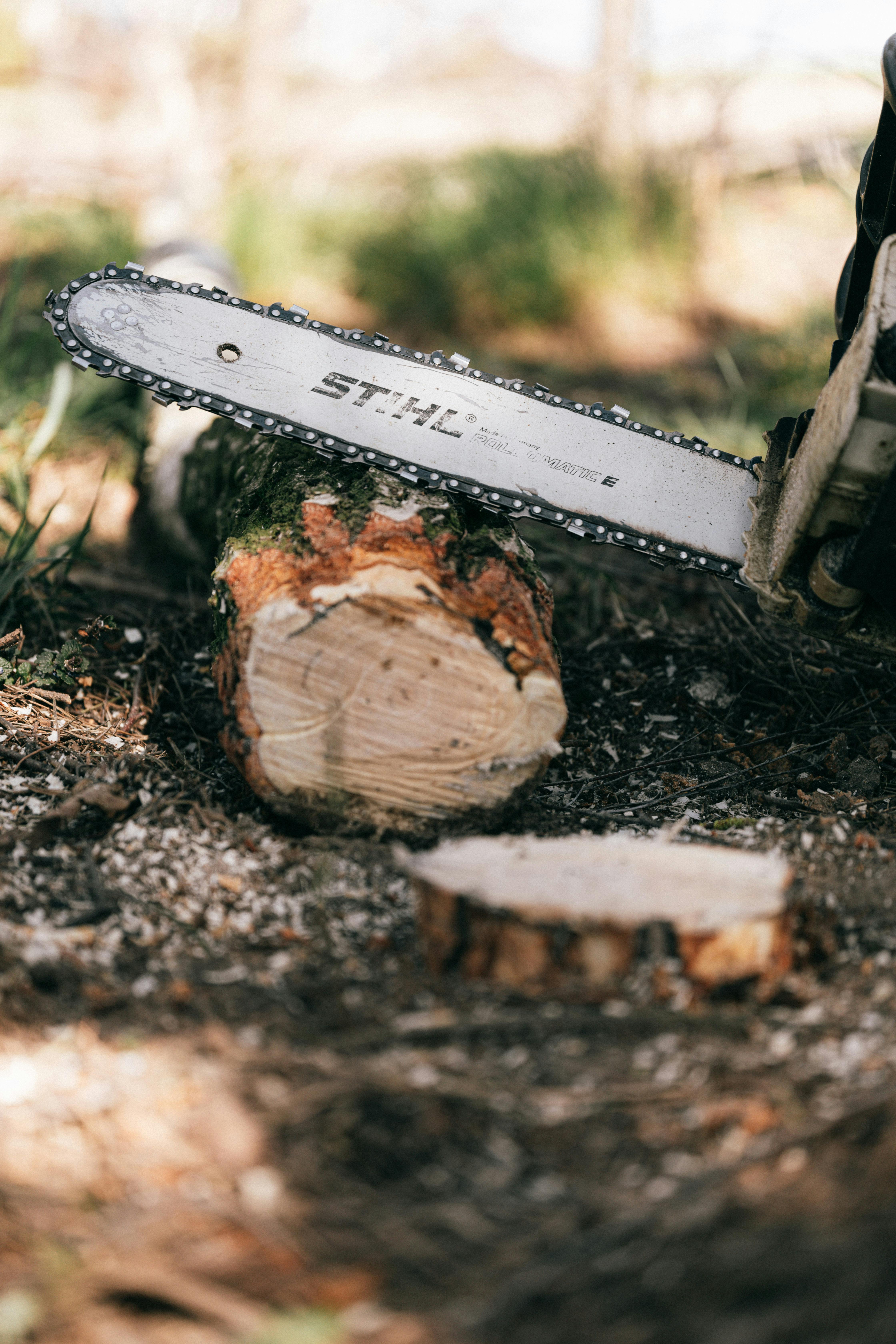 Stihl Akku Kettensäge im Vergleich