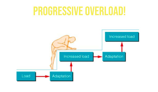 Progressive Überlastung Diagramm