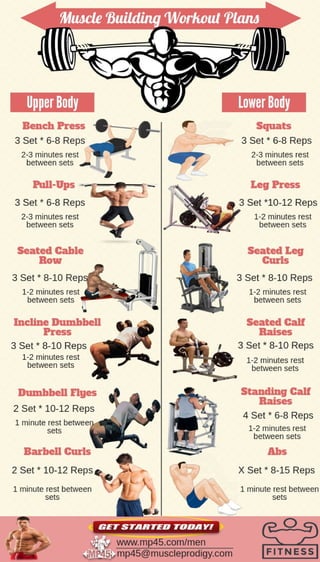 Trainingsplan Muskelaufbau